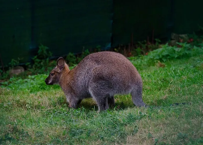 Casas Rurales Taramundi Verde